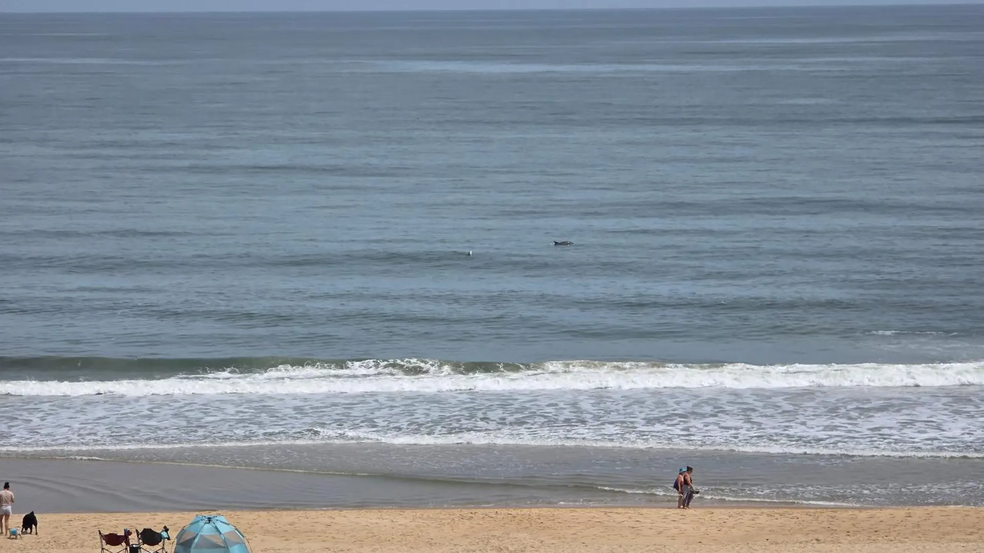 Oceanfront 29Th St 2Br 2Ba Condo Steps To Boardwalk Ocean Stadt USA